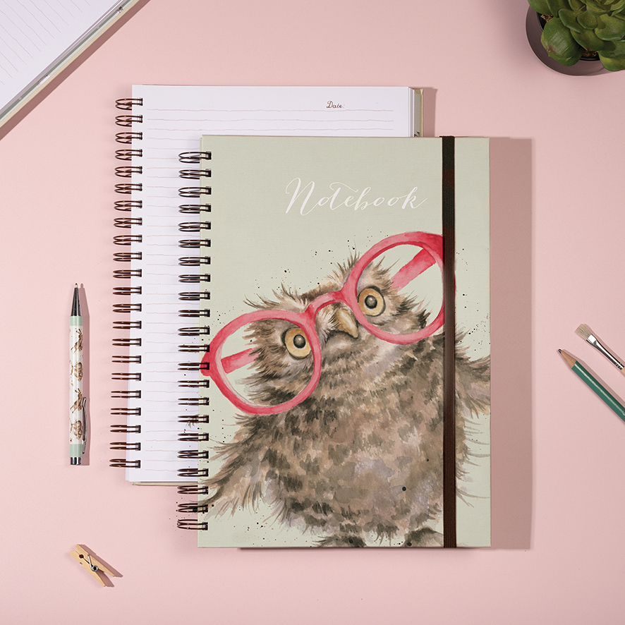 Spectacular Large Notebook (Owl) image number null